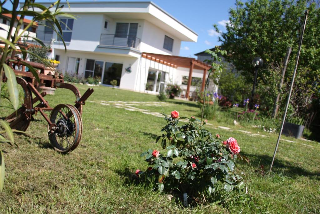 B&B Casa Fischer