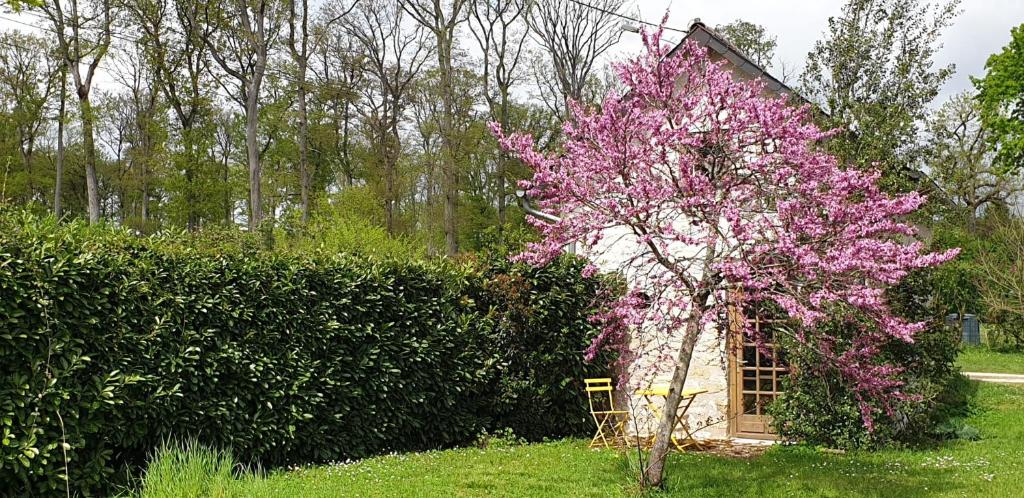 Entre Loire et Forêt - 5