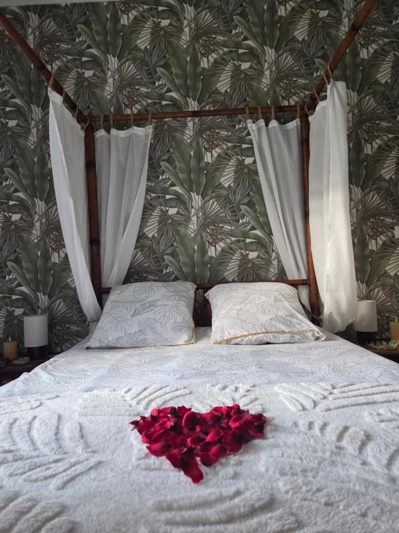 Suite Eden Jungle - Ambiance tropicale cosy - 4
