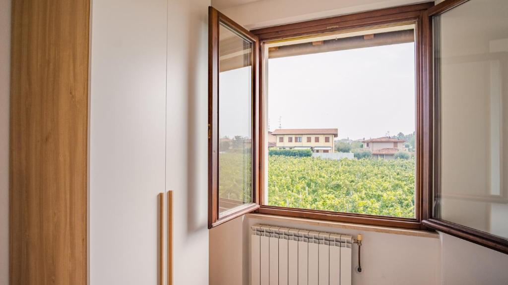 The House in the Vineyard - Italian Homing - 4