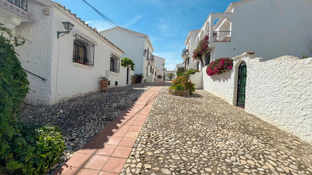 Crisantemos Nerja - 2