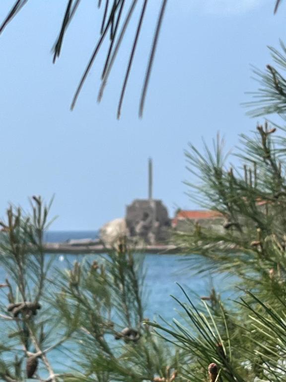 Petrovac apartman Saša - 3