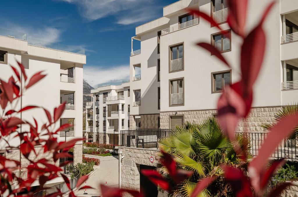 River side apartment B20 - 1