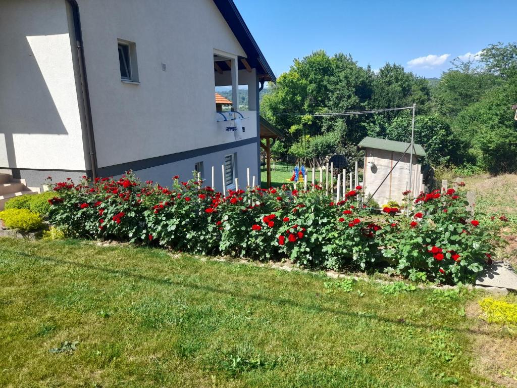 Studio apartman Goran - 4