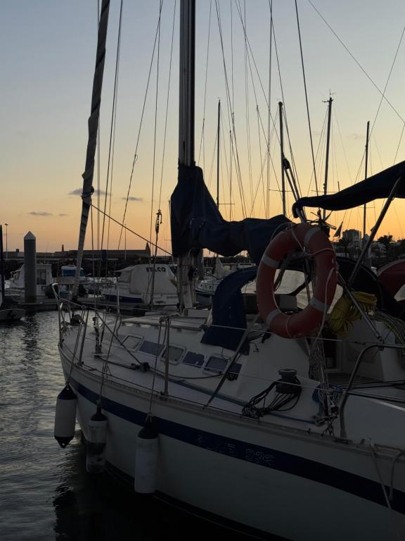Velero Nadya - 5