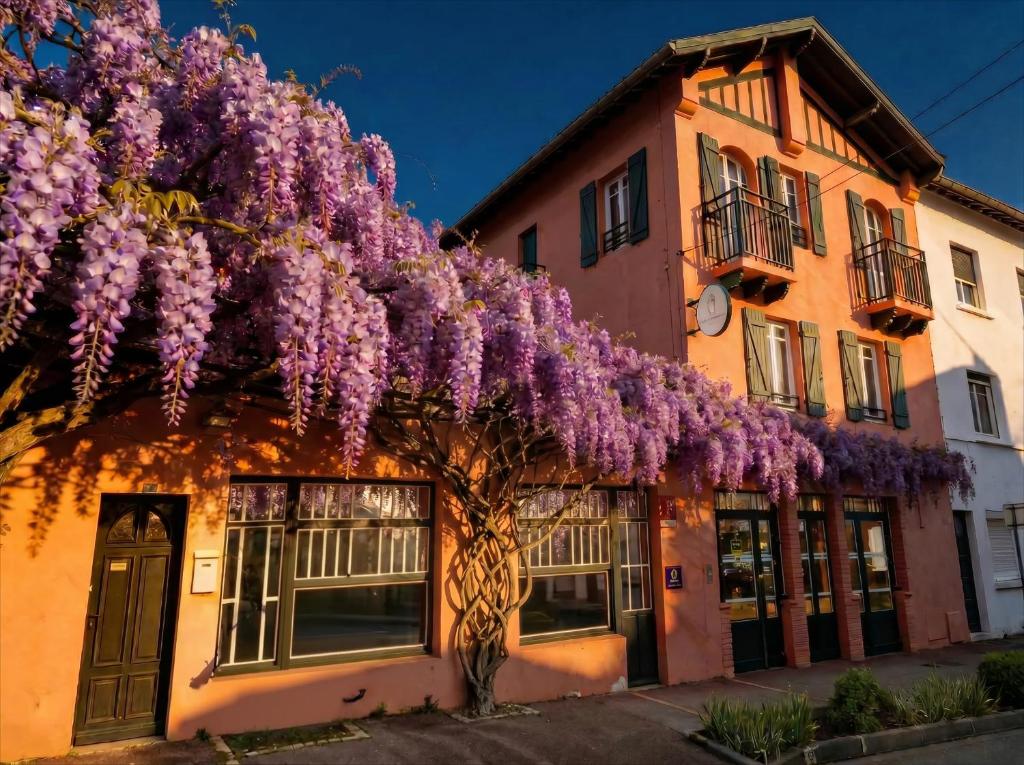 Boutique hôtel Maria-Christina - 1