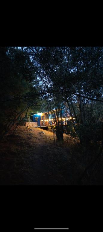 Glamping blue. - 3