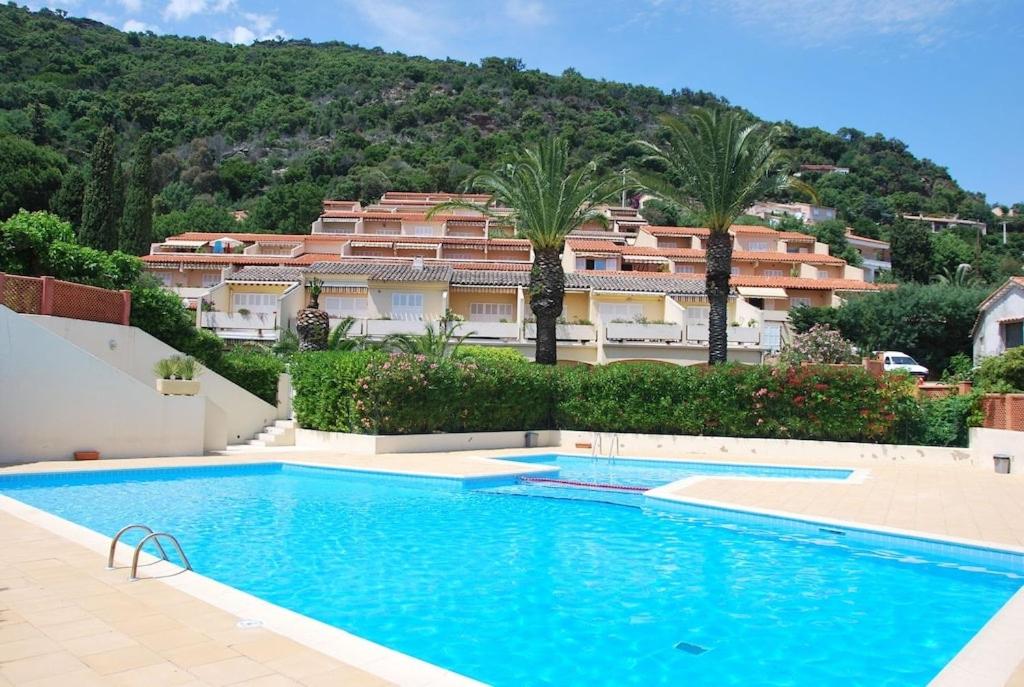 Studio jardin 4 pers piscine plage Le Lavandou - 1