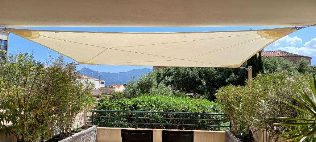 Studio 4 personnes à Calvi, toutes commodités à pied - 2