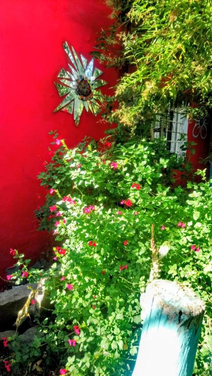 Casa JINDRA - 1