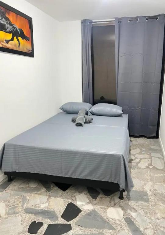 Spacious apartment in Laureles Estadio - 2