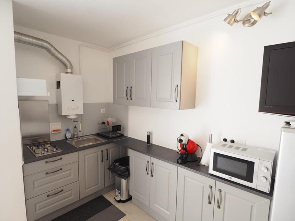Studio agréable, animaux OK, parking - 4 pers. - FR-1-874-22 - 5
