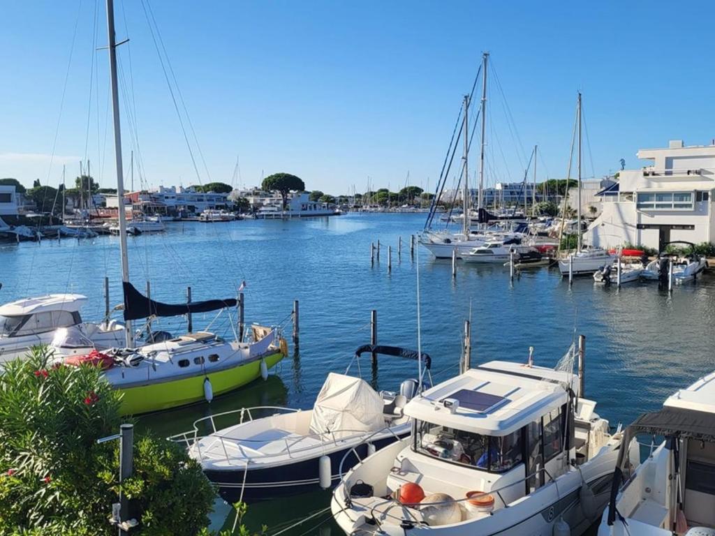 Marina rare avec clim et parking - Port Camargue - FR-1-874-33 - 5