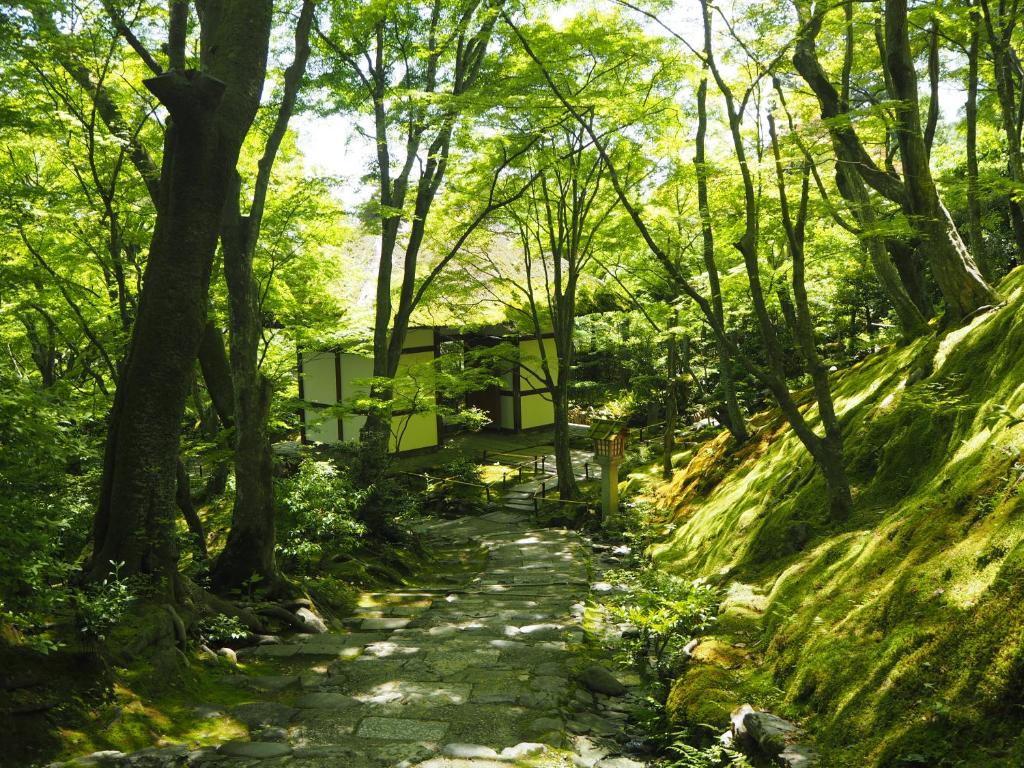 Nearby attraction