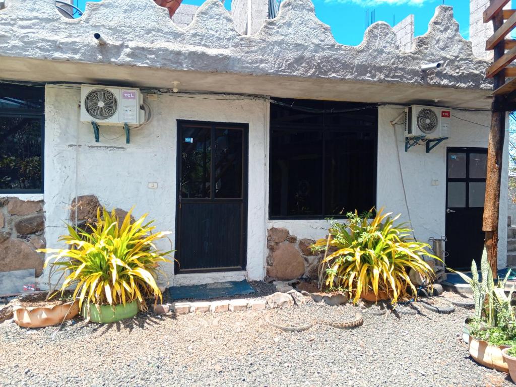 MINISUITE para 2, CASA OASIS GALAPAGOS - 5