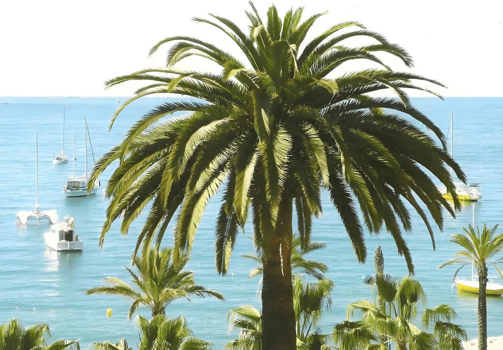 Studio climatisé proche parking gratuit, commerces et plages - 1