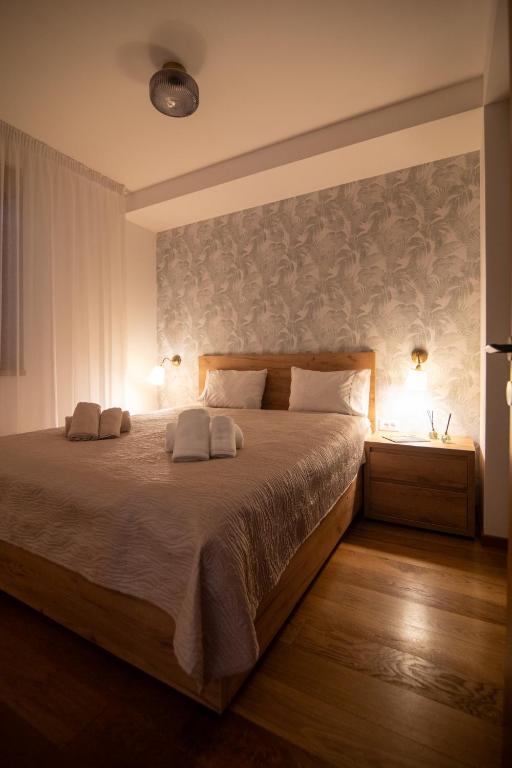 Trg 55 - komforan apartman sa dve spavaće sobe u modernoj zgradi na Trgu - 5