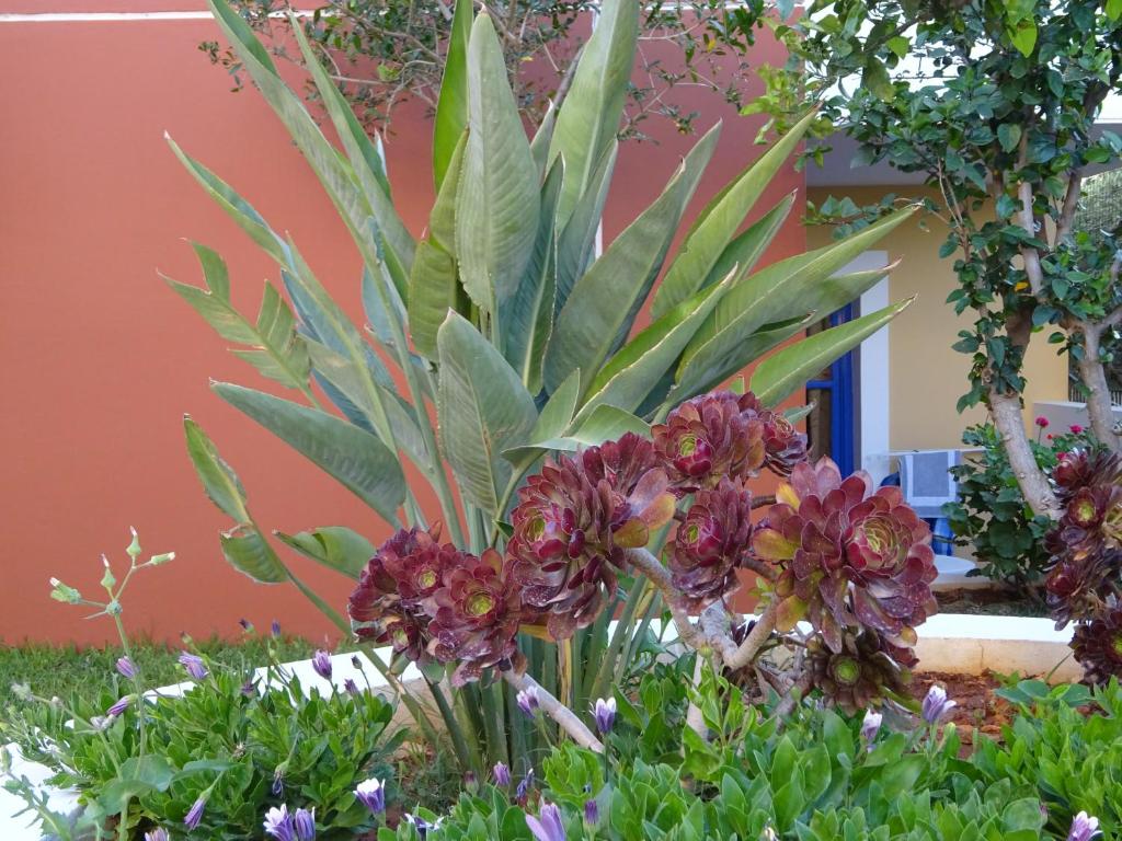 Astra Village & Suites — Hotel building in Hersonissos