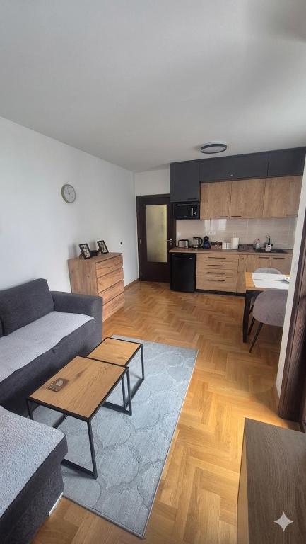 SiM Apartman Vrnjačka Banja - 2