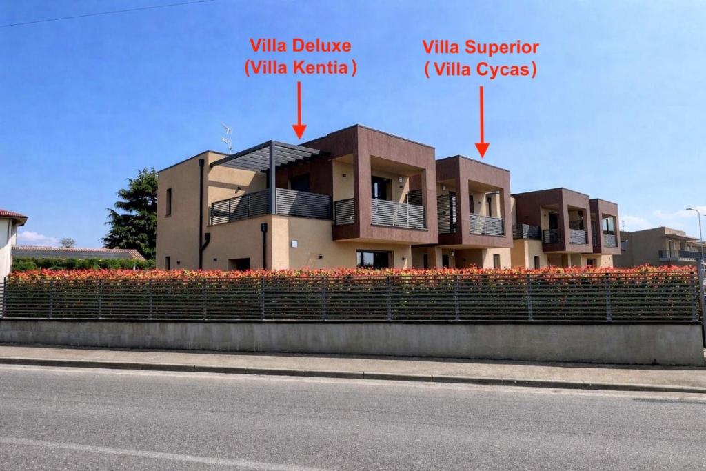 Palm Villas - 2