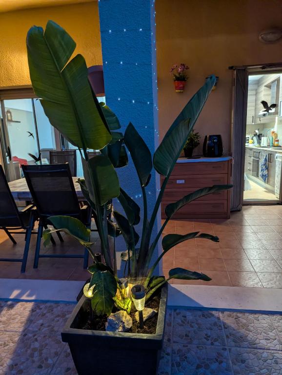 Casa Felicitas - 3