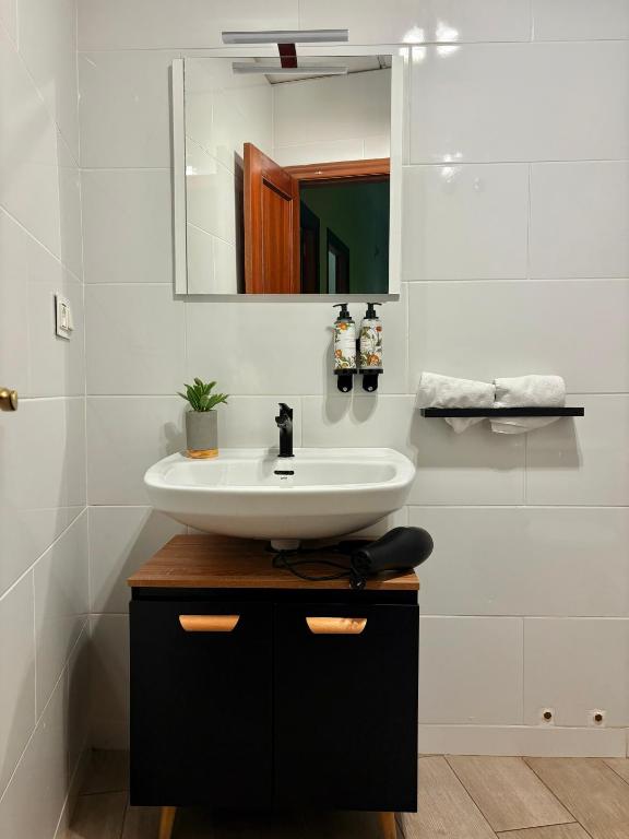 Nest Flats Navas - 3
