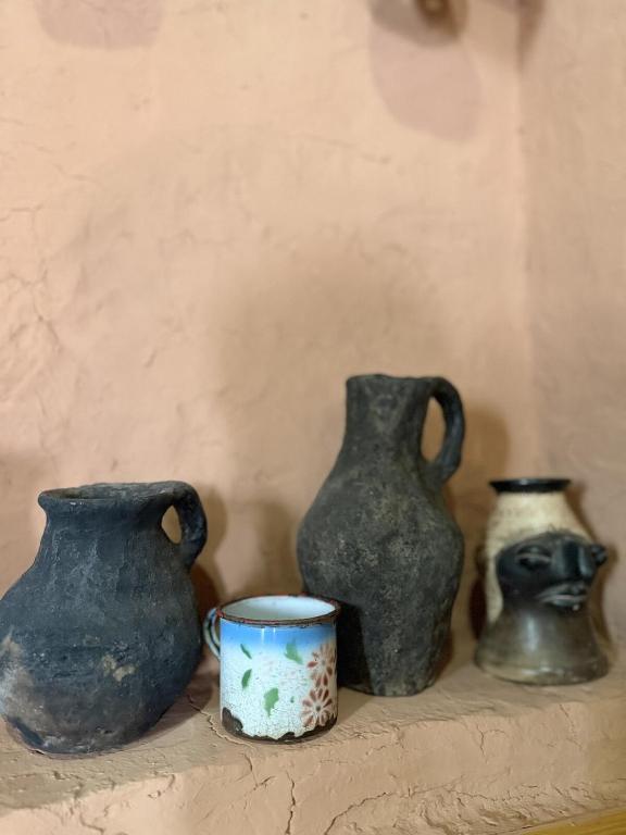 Las Cuevas - Casa de adobe en Huachichocana - 2