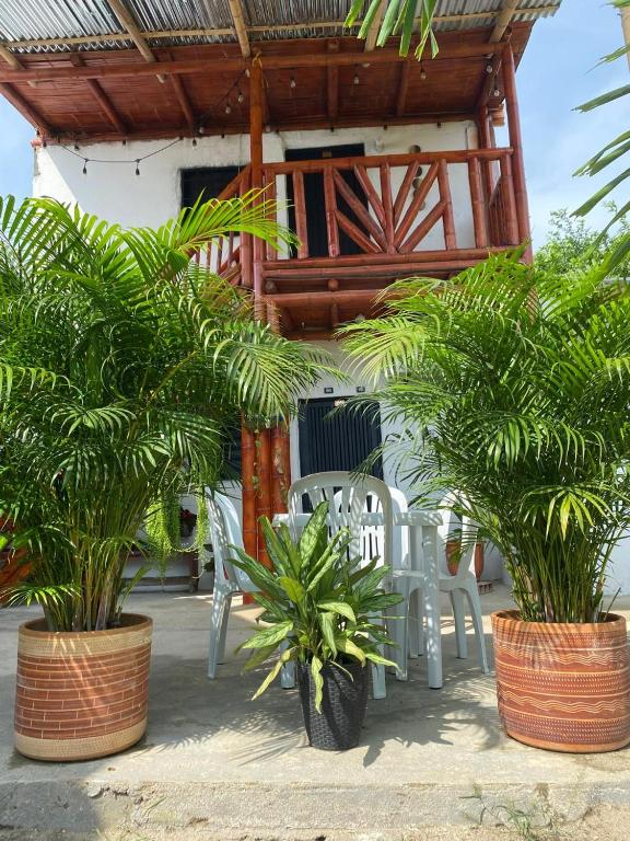 Cabañas Spacetatacoa - 3