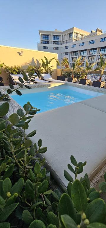 Cedrino suite apartment - 2