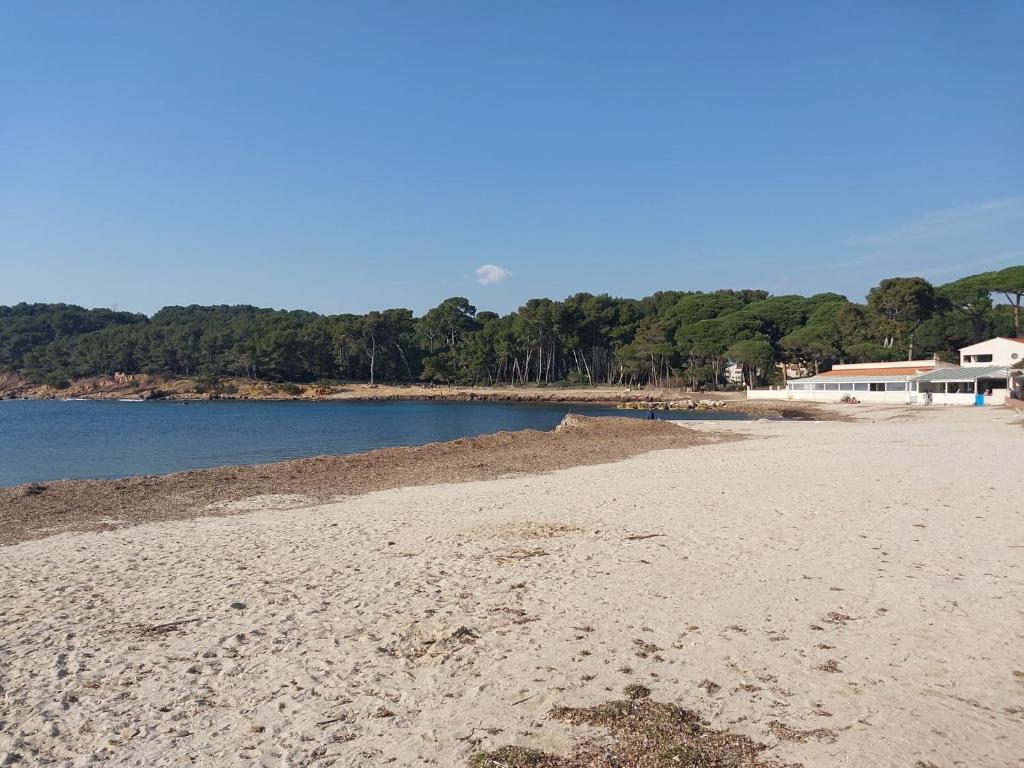 Appartement lumineux de 55 m2 avec 2 chambres, jardin de 90m2 et accès plage et commerces à pied - 4