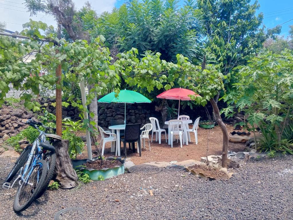 MINISUITE para 2, CASA OASIS GALAPAGOS - 3