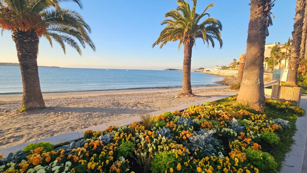 Duplex de 95 m2 sur le port, 17m2 de terrasse,parking - 3
