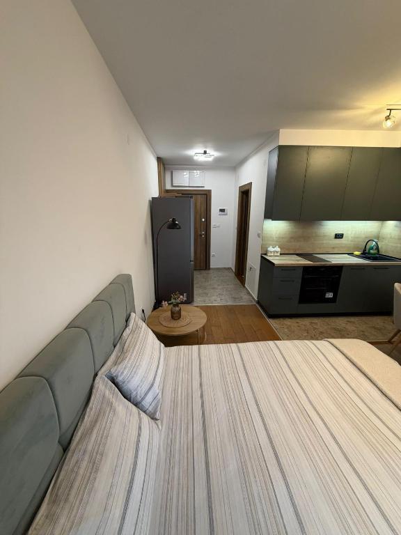 Aria studio apartman Kragujevac - 2