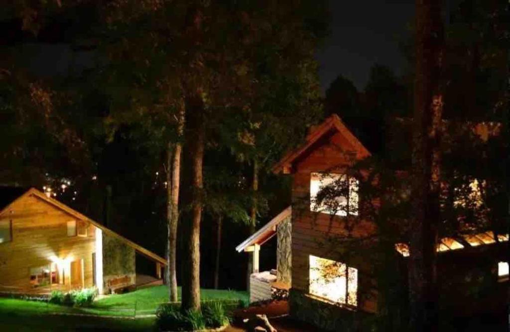 Excelente Casa en bosque con vista a Chapelco y Lago Lacar - 2