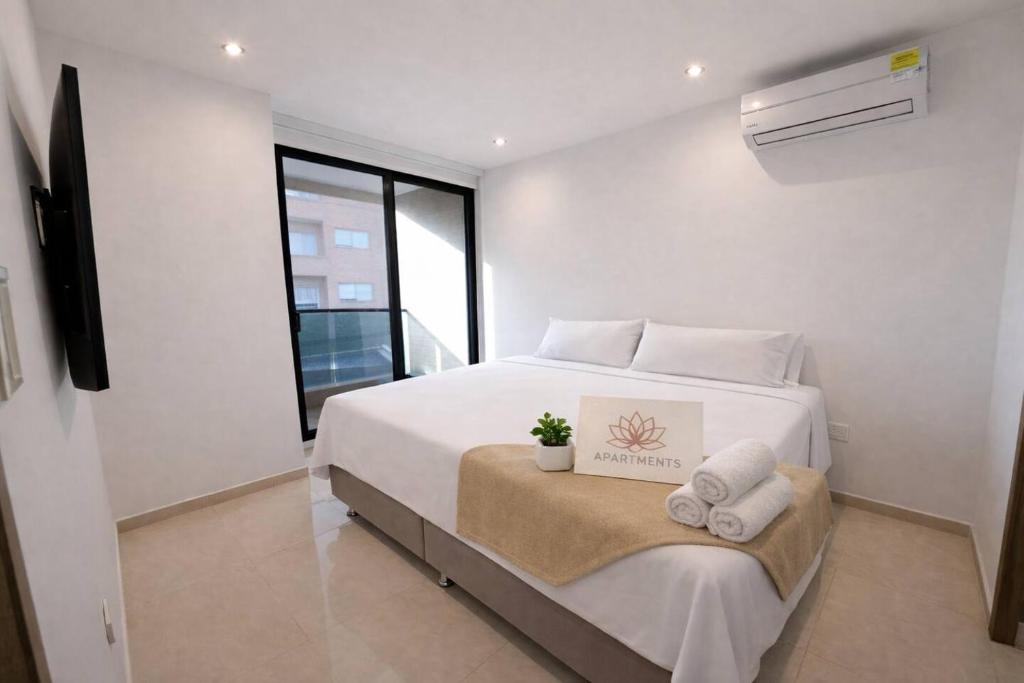 Apartasuits Shanty - 5
