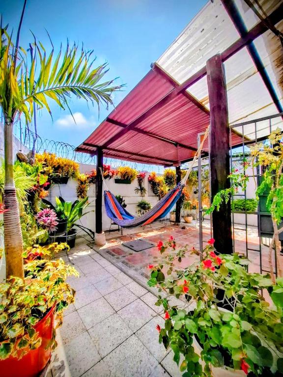 Suite Milina Jardín Privado cerca del Mar - 2