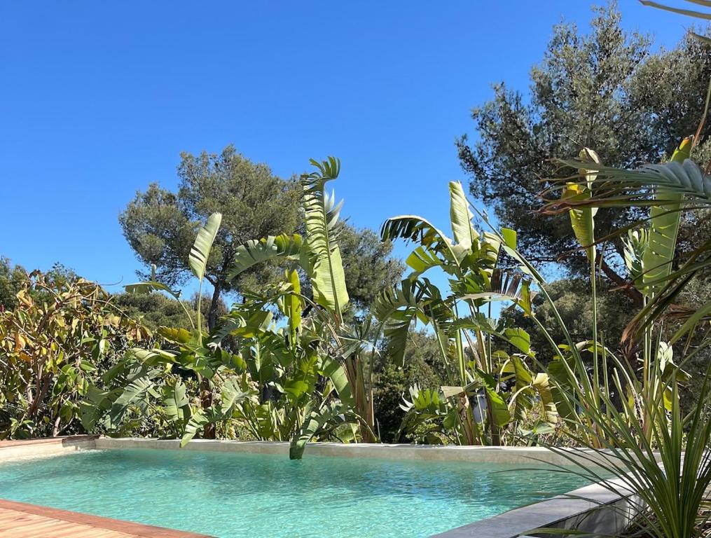 Villa Dolce Vita vue mer et piscine - 3