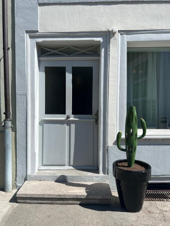 Nimbuzzz Apartments - 2