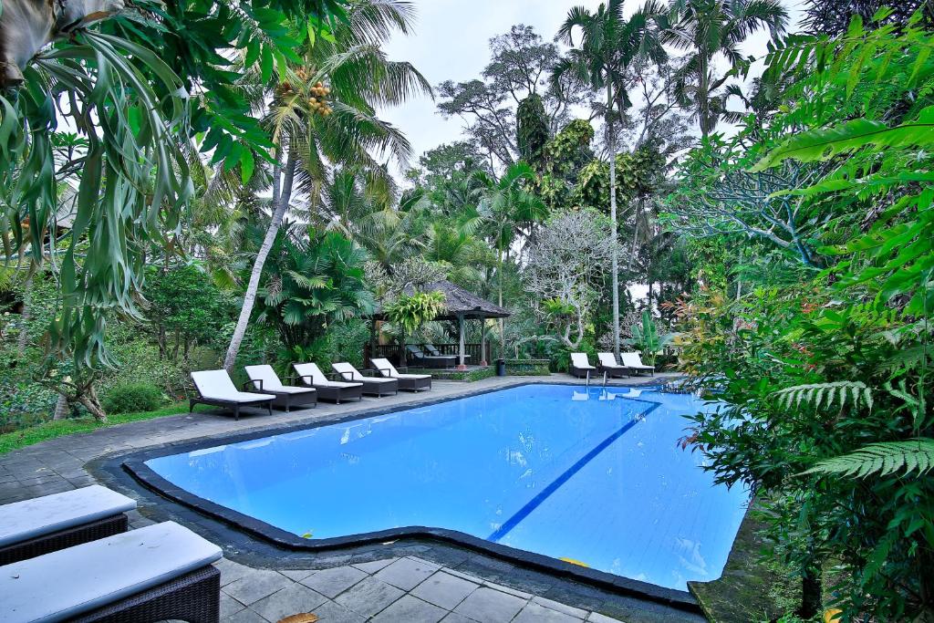 Kolam renang