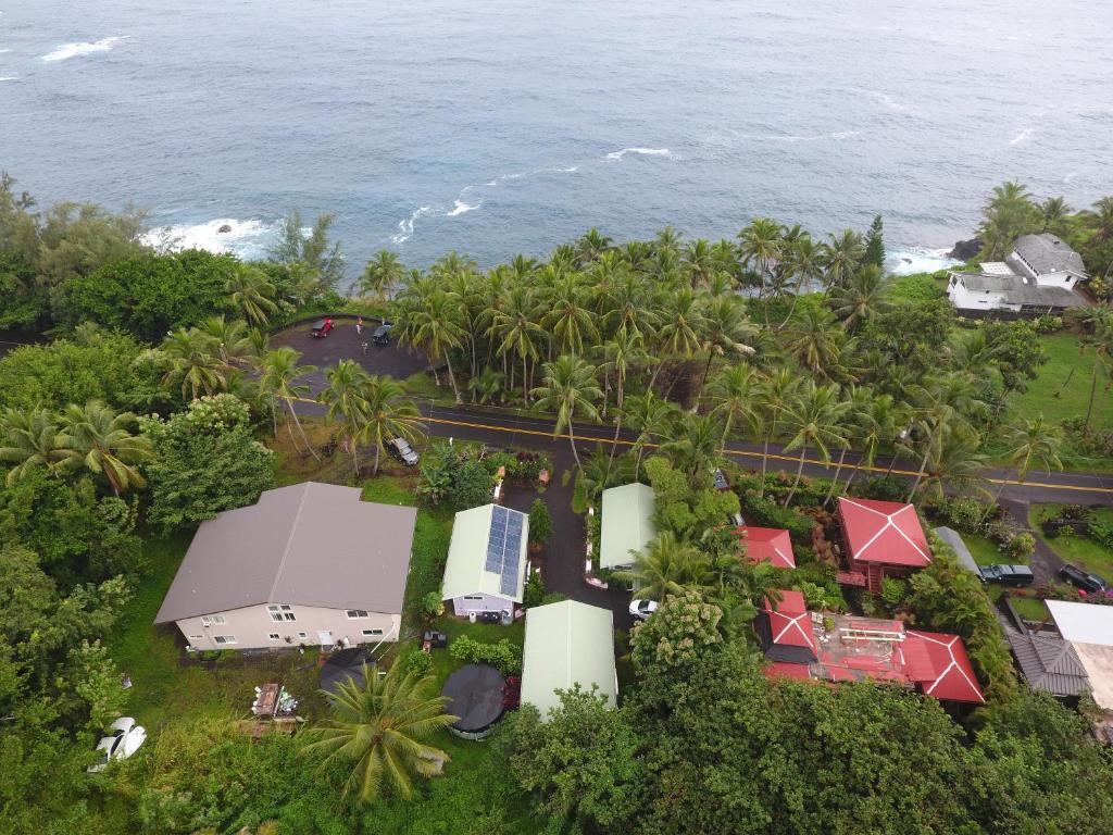 Oceanfront Cottage Near the Kalapana Lava Flows — Hotel in Kehena (HI)