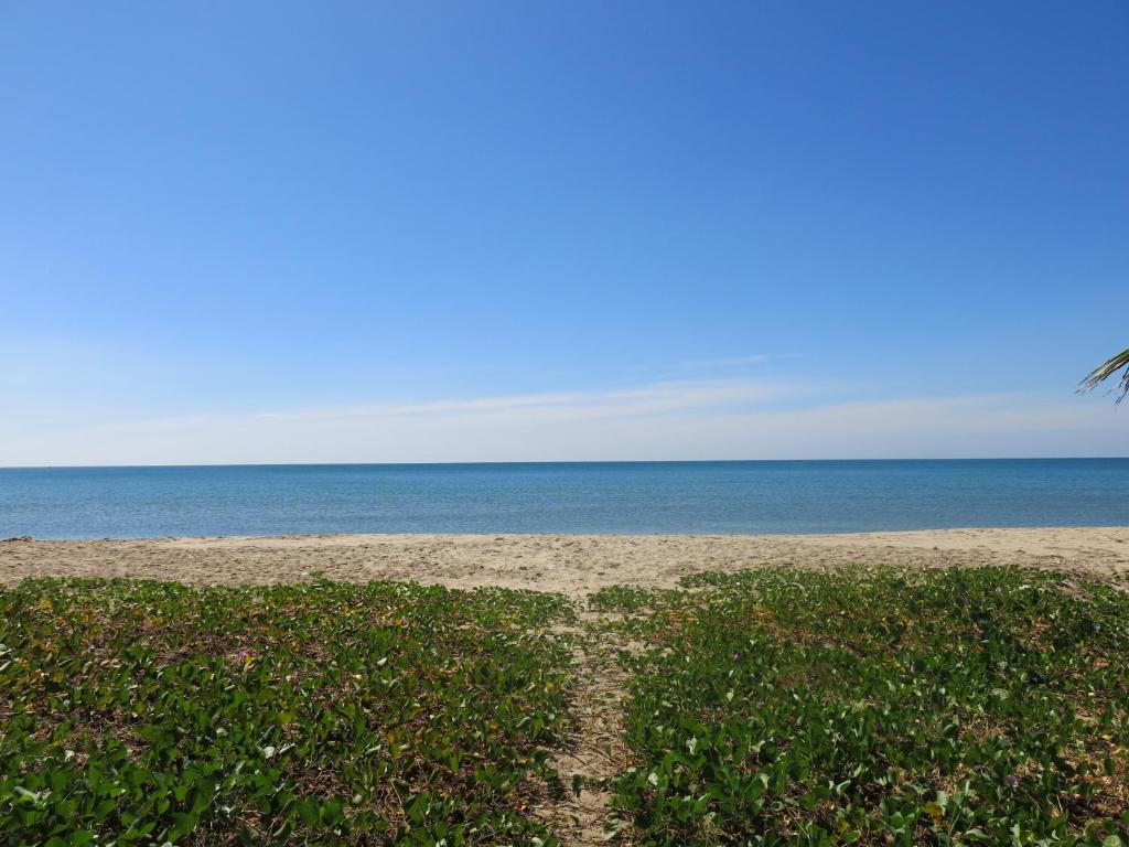 Surrounding environment