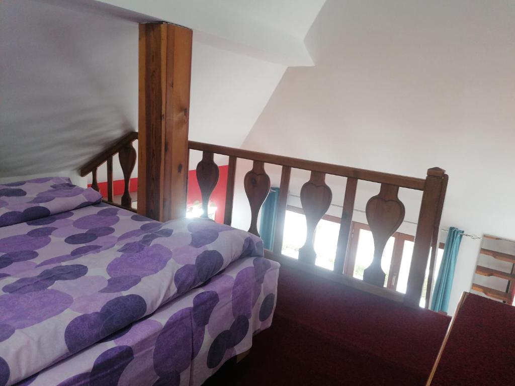 Apartman Beli Bor Vila Mir - 5