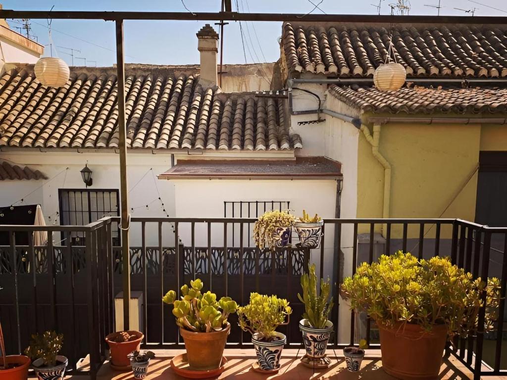 Apartamento con Terraza - Centro de Granada - 3