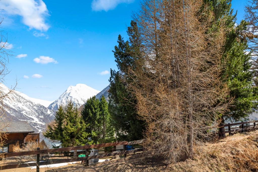Magnifique chalet au calme et en pleine nature - 5