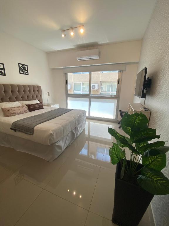 Vianzo BA San Telmo - 1