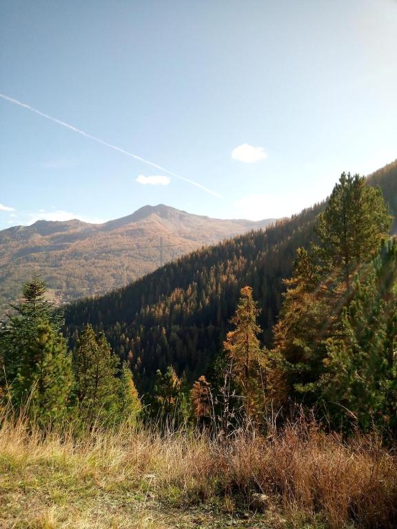 Vacances à la montagne - 2