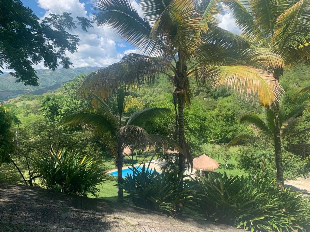 Finca La Verbena - The Sound of Nature - 2