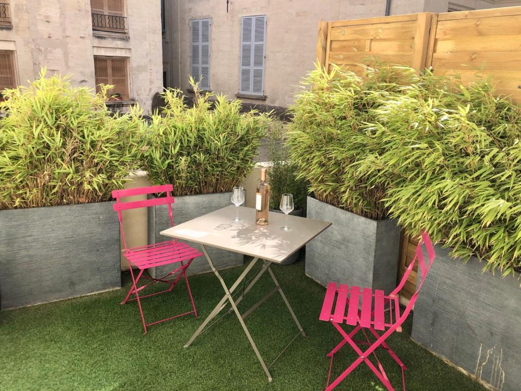 Appartement des Teinturiers, climatisation et terrasse - 1