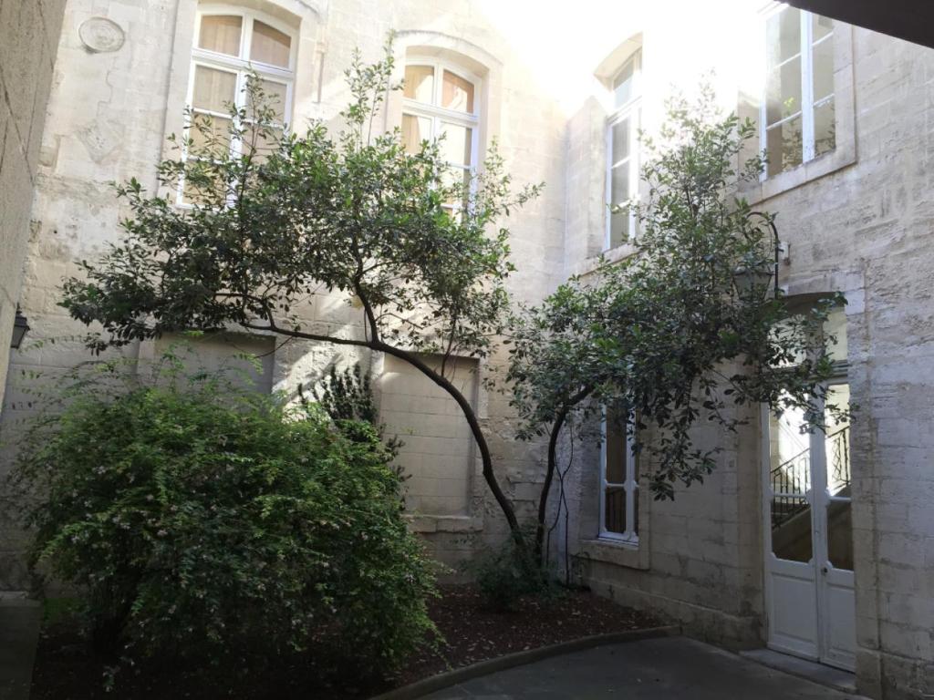 Appartement des Teinturiers, climatisation et terrasse - 4