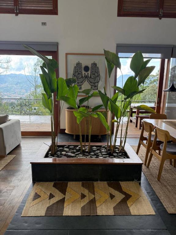 Stylish, bioclimatic family house - 4
